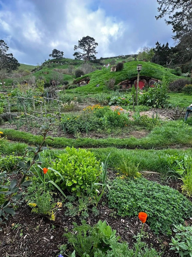 Stepping Into Middle-earth at Hobbiton