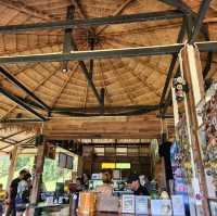 หยุดเวลา cafe - น่าน 🍃⛰️