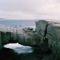The Blow Holes