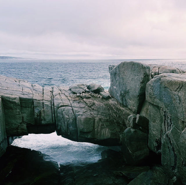 The Blow Holes