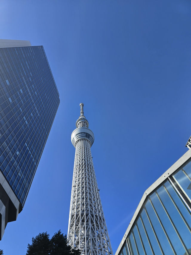 Tokyo Skyline Magic🍦  