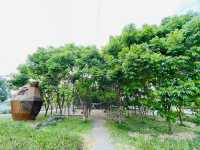 爸媽必收藏❗️免門票免停車費還能玩水➡️屏東林後四林平地森林園區