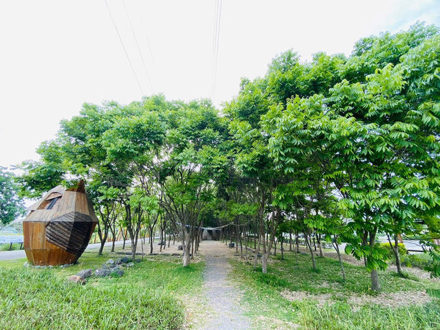 爸媽必收藏❗️免門票免停車費還能玩水➡️屏東林後四林平地森林園區