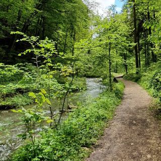 Chaltbrunnental – A Hidden Gorge of History and Nature