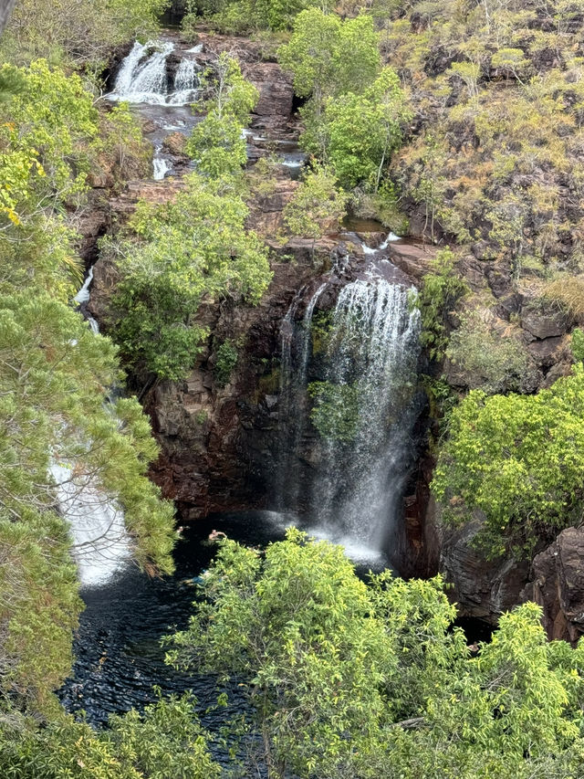 【オーストラリア・ダーウィン】滝と森が織りなす癒しの大自然「リッチフィールド国立公園」🌴💧🌈