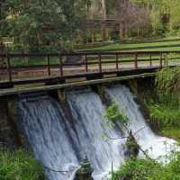 Blooming Beauty: A Day at Araluen Botanic Park, Perth