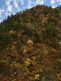 【富山・黒部】絶景の終着駅！黒部渓谷トロッコ列車で行く欅平🚞🌲