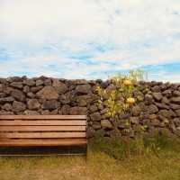 Modern Design and Peaceful Seclusion