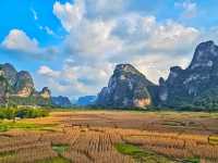 The Dreamy Family Getaway: 2 Days in Mingshi Rural, Daxin with Your Mini CEO 👧🏻🌿