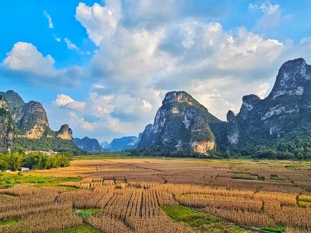 The Dreamy Family Getaway: 2 Days in Mingshi Rural, Daxin with Your Mini CEO 👧🏻🌿 The Dreamy Family Getaway: 2 Days in Mingshi Rural, Daxin with Your Mini CEO 👧🏻🌿