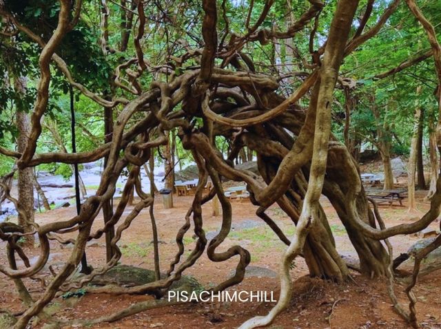 น้ำตกตาดโตน จังหวัดชัยภูมิ น้ำตกตาดโตน จังหวัดชัยภูมิ