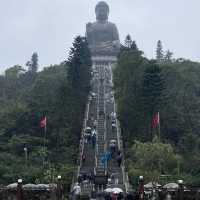 Limited budget but unlimited experience