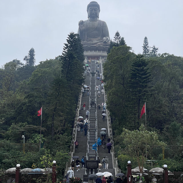 Limited budget but unlimited experience Limited budget but unlimited experience