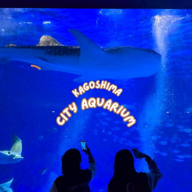 Kagoshima City Aquarium