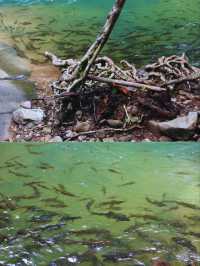 เที่ยวระยอง ครบทุกอารมณ์ ทั้งทะเล ป่าเขา