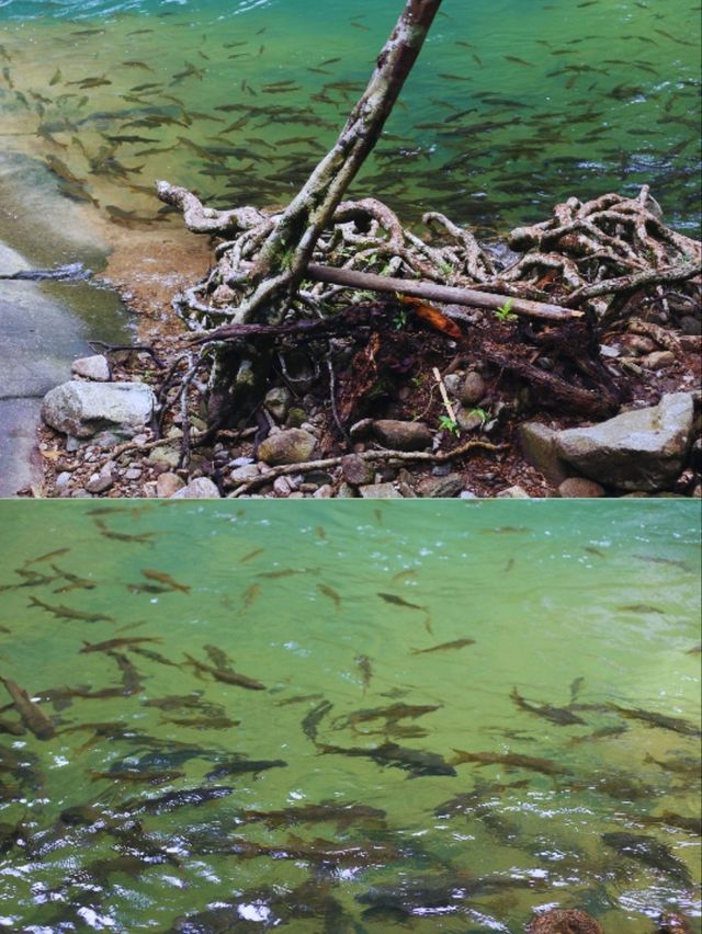 เที่ยวระยอง ครบทุกอารมณ์ ทั้งทะเล ป่าเขา เที่ยวระยอง ครบทุกอารมณ์ ทั้งทะเล ป่าเขา