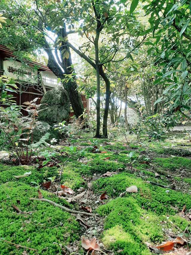The Soloist's Secret Garden: Tozanso, Nagoya The Soloist's Secret Garden: Tozanso, Nagoya