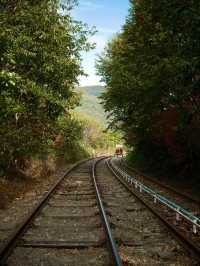 Gapyeong Escape🍃 A Romantic Day in Korea’s Countryside