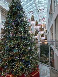 💞기흥 대형 카페 힐링 명소 포레스트아웃팅스 용인