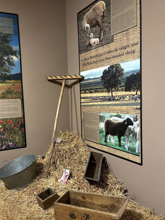 🧀✨ Warm Flavours & Local Tradition at the Museo del Queso Manchego 🌾 🧀✨ Warm Flavours & Local Tradition at the Museo del Queso Manchego 🌾