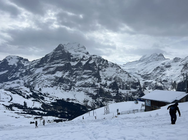 4월에도 눈으로 가득했던 스위스 피르스트