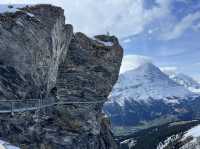 피르스트에서 만난 새하얀 절경