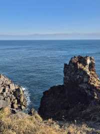 ☀️ 겨울의 제주 송악산 둘레길에서 만난 고요한 풍경 🌿