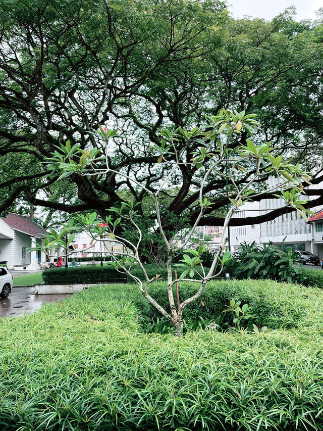 The Old Courthouse Kuching – A Journey Through History The Old Courthouse Kuching – A Journey Through History