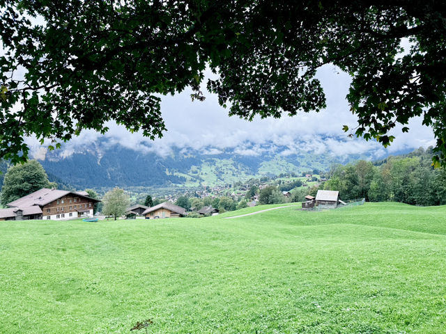 Grindelwald Dreamtrip🌞