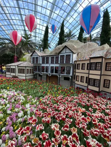 Flower Dome Escape🌸  