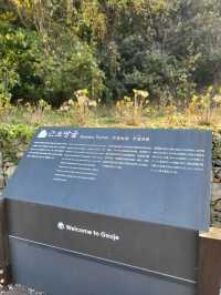 바다와 동굴의 특별한 조합이 아름다운곳