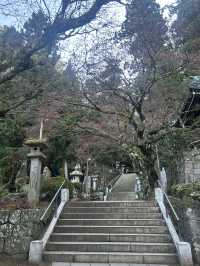 大雄山最乗寺入り口