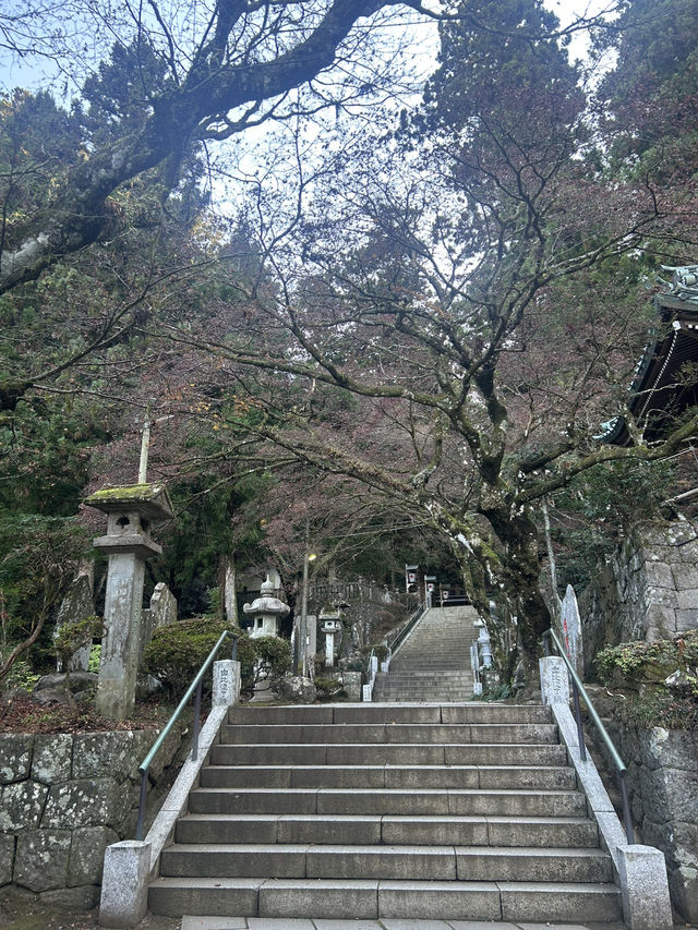 大雄山最乗寺入り口 大雄山最乗寺入り口