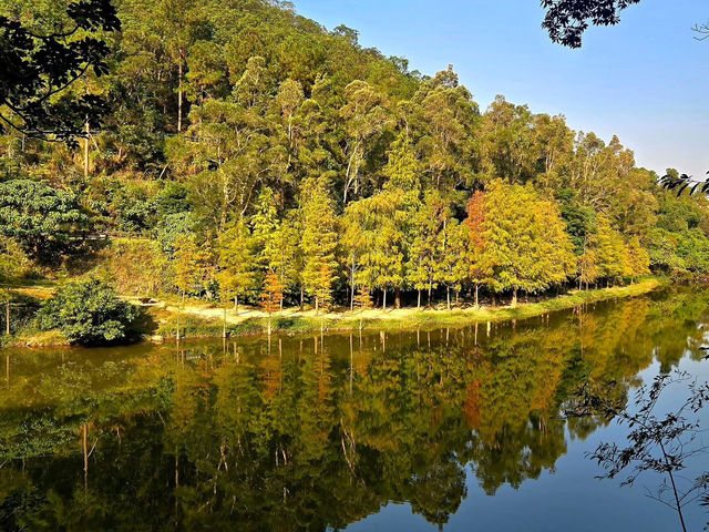 Jade in the Hills: The Mirrored Soul of Lau Shui Heung Jade in the Hills: The Mirrored Soul of Lau Shui Heung