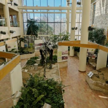 🦖 A Journey Through Time: My Magical Trip to the USask Museum of Natural Sciences