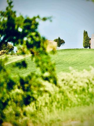 Ireland Timoleague Abbey to Courtmacsherry Bay Wren Boys Pub Path — Free Abbey, €0 Bay, Pay-for-Pin