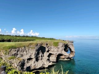 佇立在海岸的大象