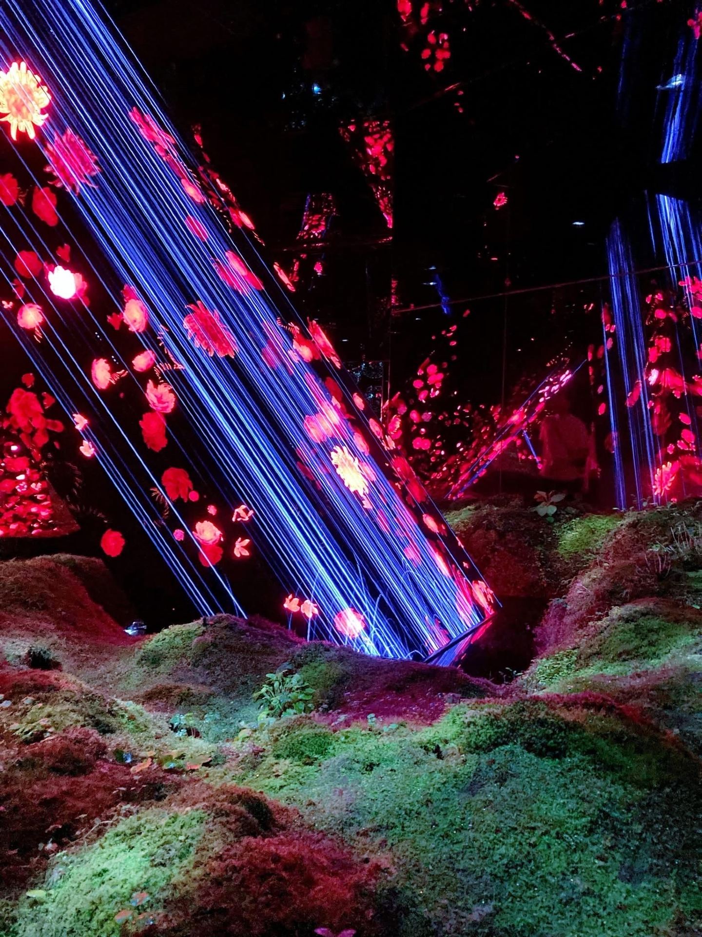 Would you rather explore a traditional temple or lose yourself inside this futuristic art world?