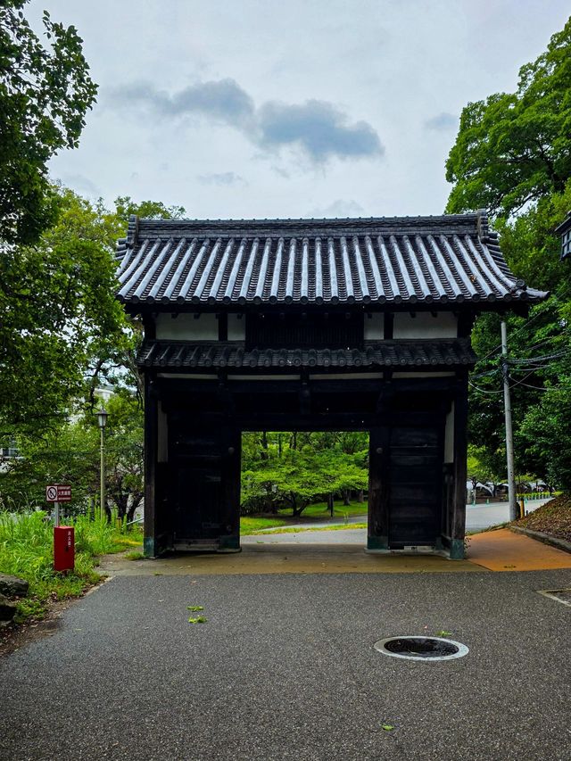 잔잔한 호숫가 산책, 후쿠오카 오호리 공원
