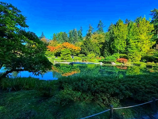 🍁 Where Autumn Meets Japanese Elegance 🌿