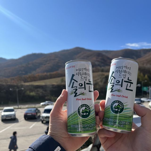 오대산 노인봉 등린이 최단코스⛰️
