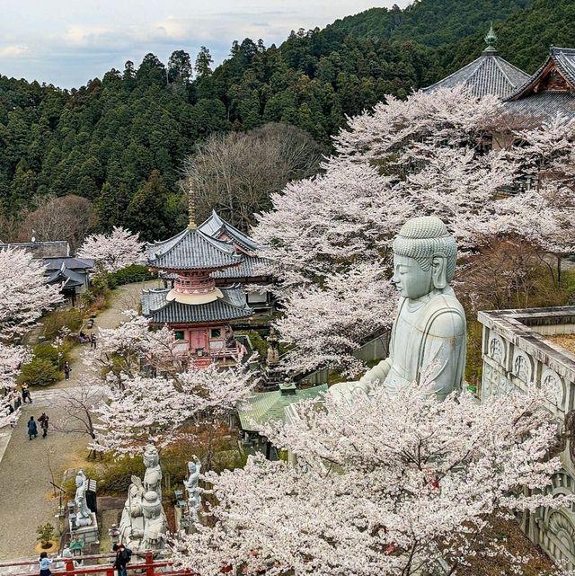 治愈神殿