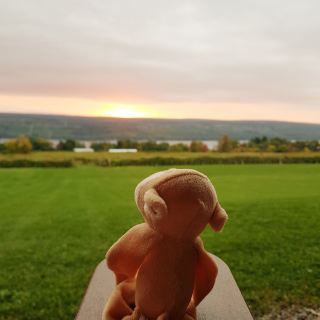 Must-visit winery-themed accommodations during your trip to the US