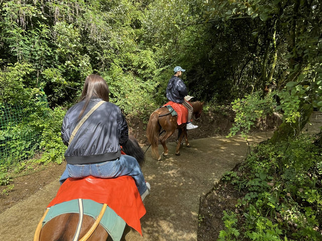 走一段千年商道，聽見馬蹄聲中的時光——麗江茶馬古道探訪記