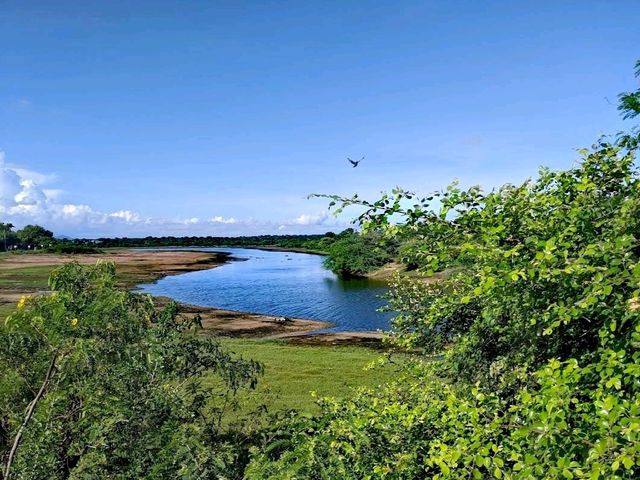 Bundala National Park