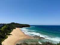 Sydney beaches 