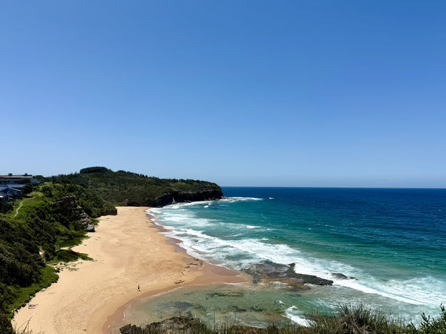 Sydney beaches 