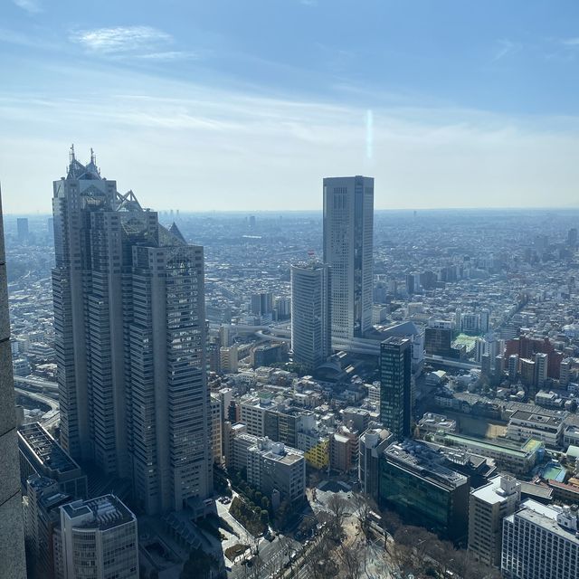 View of Tokyo Metrepolitian government office