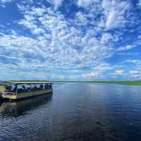 Cruising the Chobe: A River Adventure