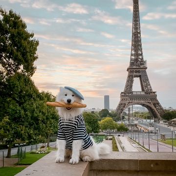The best viewpoint to see the Eiffel Tower | Trip.com Paris